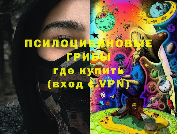 марки lsd Абаза
