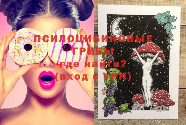 марки lsd Абаза
